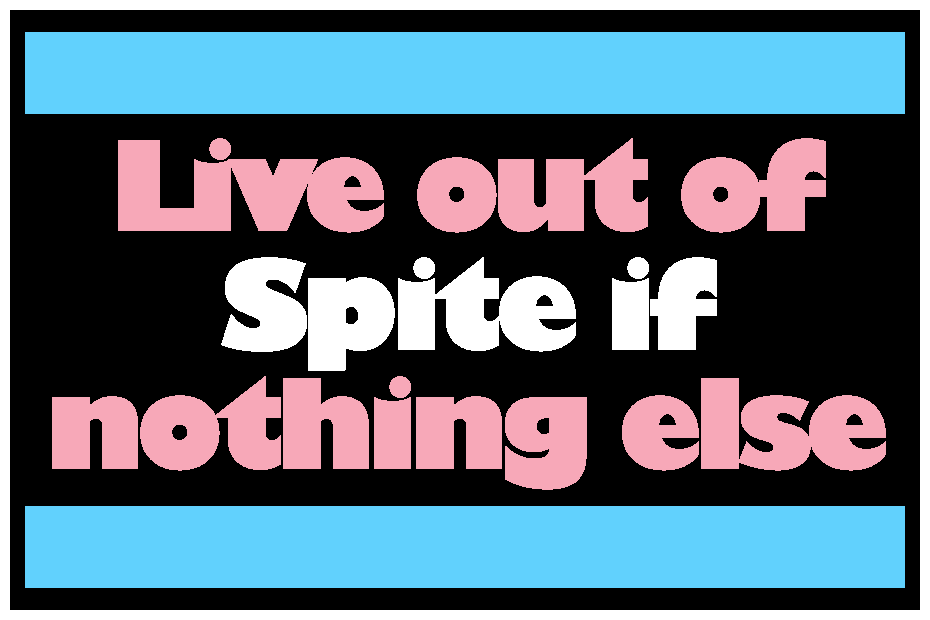 sticker that says Live out of spite if nothing else